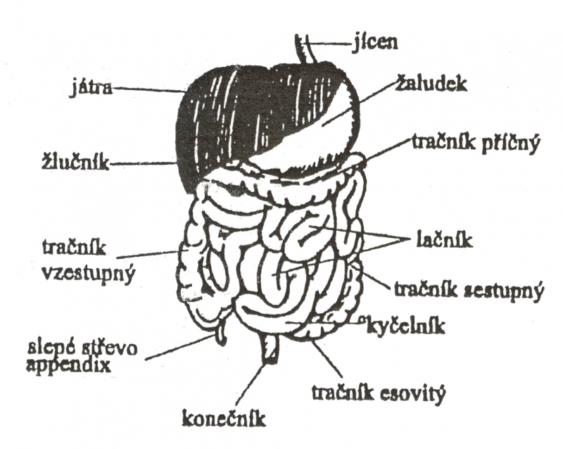 travici soustava